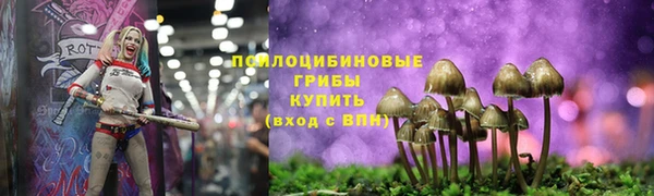 ALPHA PVP Аркадак