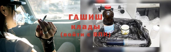 гашик Алексин