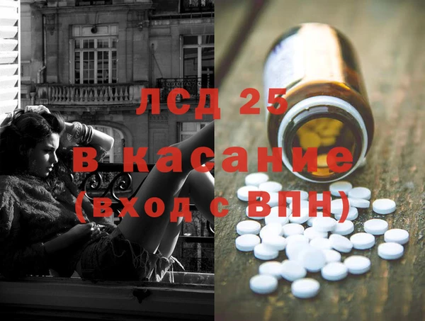 PSILOCYBIN Алзамай