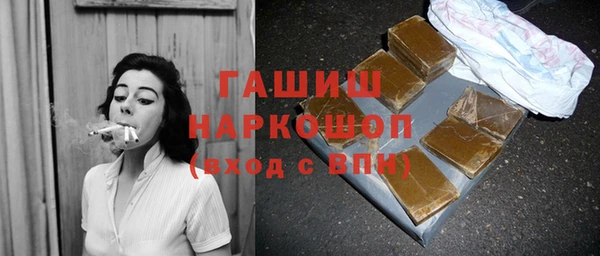 гашик Алексин